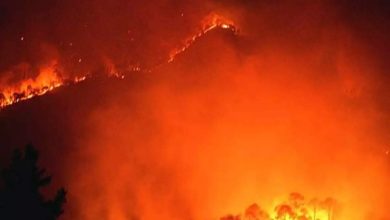 Photo of कुमाऊं केनॉर्थ ज़ोन के जंगलो में आग लगने से करीब 50 लाख रुपये की वन सम्पदा हुई ख़ाक