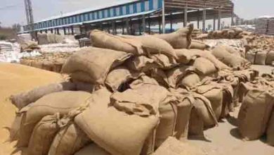 Photo of भारत ने गेहूं के निर्यात पर बैन में ढील दी, इन खेपों को मिली इजाजत