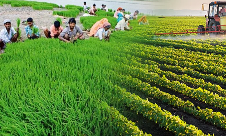 Photo of नयी हरित क्रांति का आधार बनेगी इकोफ्रेंडली प्राकृतिक खेती: मुख्यमंत्री