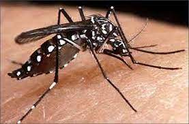 Photo of डेंगू, मलेरिया और चिकुनगुनिया की तरह होने लगी कोरोना की गिनती