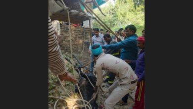 Photo of हमीरपुर: गहरे कुंए में गिरी अन्ना गाय को ग्राम प्रधान प्रतिनिधि व डायल 112 के सहयोग से बाहर निकाला गया