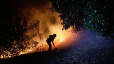 Photo of साउथ अमेरिका के देश चिली के जंगलों में भीषण आग लगने से 13 लोगों की मौत..