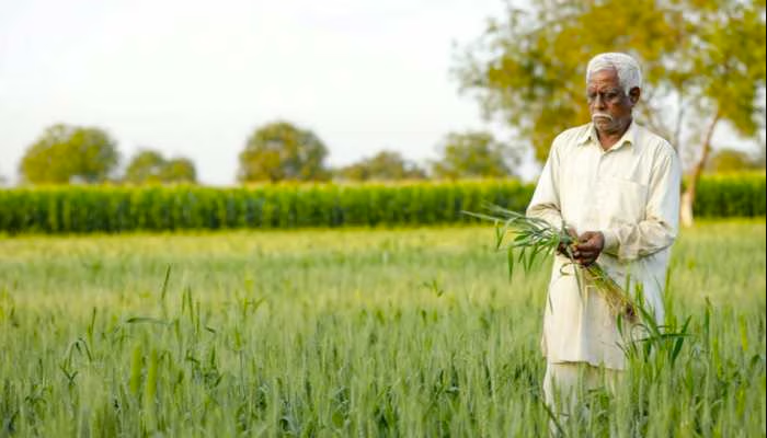 Photo of वित्त मंत्री निर्मला सीतारमण ने बजट में कृषि क्षेत्र के लिए किए गए ये बड़े ऐलान