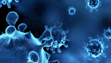 Photo of कोविड- H3N2 वायरस का कॉम्बिनेशन है बेहद खतरनाक! पढ़ें पूरी खबर…