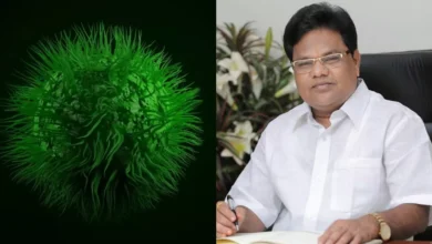 Photo of महाराष्ट्र में H2N2 वायरस के बढ़े केस, स्वास्थ्य मंत्री ने कही ये बात