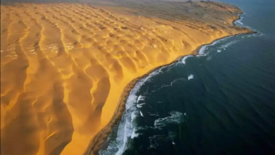 Photo of दुनिया पांच ऐसी जगह जहां समुद्र और रेगिस्तान का होता हैं मिलन, देखकर हो जाएंगे हैरान…