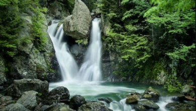 Photo of गर्मियों में उत्तराखंड के इन खूबसूरत झरनों की करें सैर…