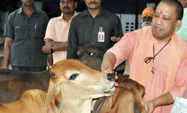 Photo of स्वदेशी गाय की खरीद पर ट्रांसर्पोटेशन और बीमा का खर्च उठाएगी योगी सरकार