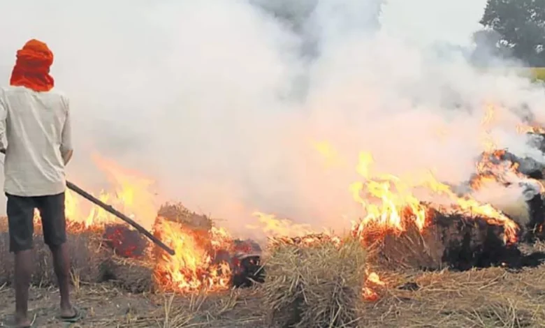 Photo of यूपी में 65 प्रतिशत तक घटीं पराली जलाने की घटनाएं