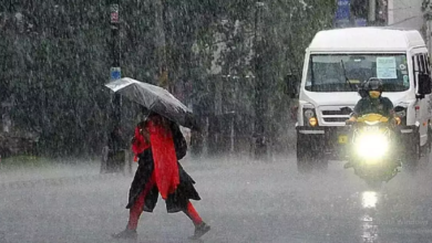 Photo of मध्य प्रदेश के इन जिलों में IMD ने भारी बारिश का अलर्ट किया जारी…