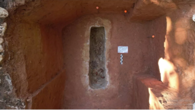 Photo of मेक्सिको में मिली 1000 साल पुरानी प्राचीन माया कब्र, होटल निर्माण के दौरान हुई खोज