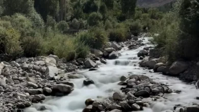 Photo of वीकेंड पर लेह-लद्दाख की इन हसीन वादिया का करें दीदार…