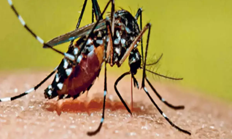 Photo of डेंगू पीड़ित हर मरीज को मिले समय पर इलाज, बढाएं सतर्कता-सावधानी: मुख्यमंत्री
