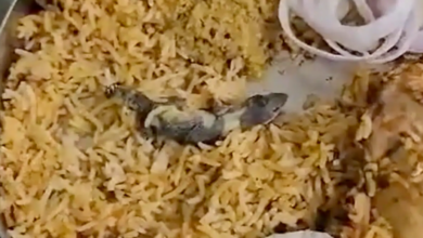 Photo of चिकन बिरयानी के अंदर निकली मरी हुई छिपकली, देखें वीडियो