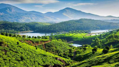 Photo of नए साल में इन खूबसूरत हिल स्टेशन को करें एक्सप्लोर…