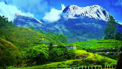 Photo of दक्षिण भारत की इन खूबसूरत जगहों की जरूर करें सैर…