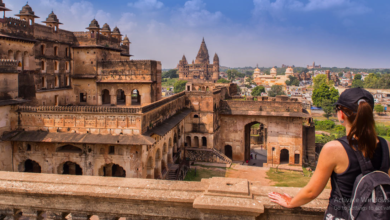 Photo of भारत के ये 8 शाही महल पेश करते हैं शानदार वास्तुकला का प्रदर्शन, एक बार जरूर करें सैर…