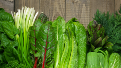 Photo of इन 5 शक्तिशाली हरे पत्तेदार सब्जियों को करें अपने डाइट में शामिल, बीमारियां रहेंगी कोसों दूर