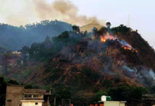 Photo of उत्तराखंड: बढ़ती गर्मी के साथ जंगल धधकने का सिलसिला जारी, पहाड़ों में 31 स्थानों पर भड़की आग