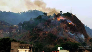 Photo of उत्तराखंड: बढ़ती गर्मी के साथ जंगल धधकने का सिलसिला जारी, पहाड़ों में 31 स्थानों पर भड़की आग