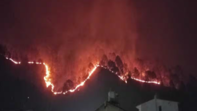 Photo of उत्तराखंड में जंगल की आग से अस्पताल का ऑक्सीजन प्लांट भी जला, बुझाने को हेलीकॉप्टर की मदद