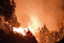 Photo of उत्तराखंड में जंगलों में आग से कम नहीं हुई आफत, 24 घंटे में 47 बार धधके जंगल
