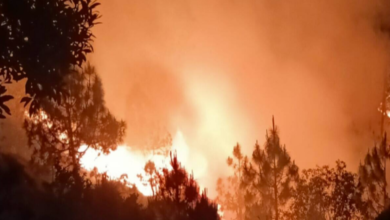 Photo of उत्तराखंड में जंगलों में आग से कम नहीं हुई आफत, 24 घंटे में 47 बार धधके जंगल