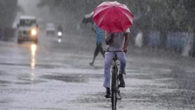 Photo of दिल्ली में तीन दिन झमाझम होगी बारिश, मौसम विभाग ने अलर्ट किया जारी