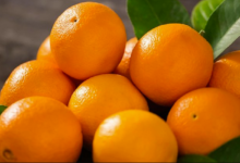 Photo of गर्मियों की शुरुआत से ही करने लगे संतरे का सेवन, मिलेंगे ये बेहतरीन फायदे