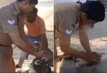 Photo of भीषण गर्मी से बेहोश हो गया बंदर, पुलिसकर्मी ने CPR देकर बचाई जान, लोगों ने जमकर की तारीफ