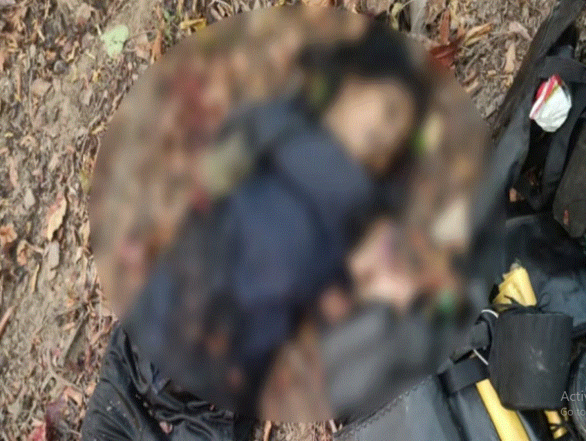 Photo of छत्तीसगढ़: सुकमा में DRG जवानों ने  एक माओवादी को ढेर, भारी मात्रा में विस्फोटक बरामद