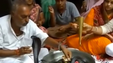 Photo of थाली में बैठाकर जिंदा नाग की पूजा कर रहा था परिवार, तभी फन फैलाकर फुफकारा सांप, देंखे वीडियो…