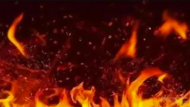 Photo of जंगल की आग में जलकर 6 लोगों की दर्दनाक मौत, उत्तराखंड में 1300 हेक्टेयर राख