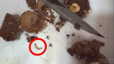 Photo of चॉकलेट काटते ही रेंगता बाहर निकल आया कीड़ा, वीडियो देख लोगों के उड़े होश