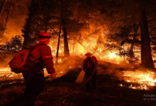 Photo of जंगल की आग के रोकथाम को लेकर प्रशासन अलर्ट, इन चीजों पर पूरी तरह लगाई रोक