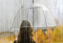 Photo of प्री-मॉनसून की दस्तक के साथ होगी झमाझम बारिश, IMD का देहरादून समेत 11 जिलों में मौसम पर अलर्ट