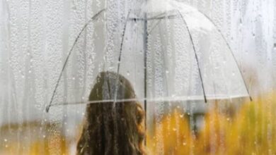 Photo of प्री-मॉनसून की दस्तक के साथ होगी झमाझम बारिश, IMD का देहरादून समेत 11 जिलों में मौसम पर अलर्ट