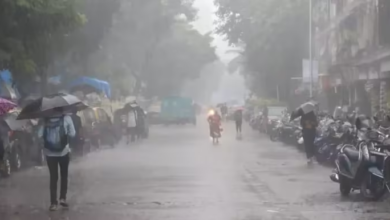 Photo of विदर्भ में मूसलाधार बारिश का कहर जारी, 700 से ज्यादा  घर हुए तबाह