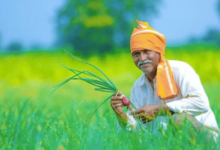 Photo of यूपी: अब हर किसान को करानी होगी फार्मर रजिस्ट्री, जानिए इसके फायदे…