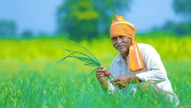 Photo of यूपी: अब हर किसान को करानी होगी फार्मर रजिस्ट्री, जानिए इसके फायदे…