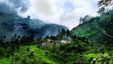 Photo of मानसून में देश की इन जगहों की करें सैर, वापस आने का नहीं करेगा मन