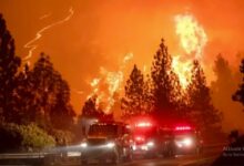Photo of कैलिफोर्निया के जंगलों में लगातार बढ़ रही भीषण आग, 26 हजार लोगों को सुरक्षित निकाला