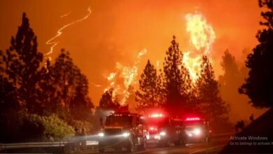 Photo of कैलिफोर्निया के जंगलों में लगातार बढ़ रही भीषण आग, 26 हजार लोगों को सुरक्षित निकाला