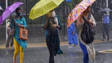 Photo of MP मानसून का दौर जारी, मौसम विभाग ने इन हिस्सों में रिमझिम बारिश का अलर्ट किया जारी