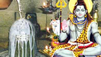 Photo of सावन में कब पड़ रही है हरियाली तीज, विधि-विधान से करें शिव शक्ति की पूजा