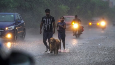 Photo of छत्तीसगढ़ में बिजली गिरने और भारी बारिश का यलो अलर्ट