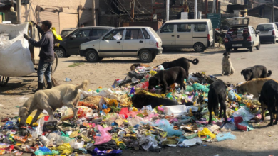 Photo of गोमती नगर-निशातगंज में नहीं उठा कूड़ा, ड्राइवरों ने की हड़ताल