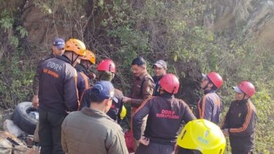 Photo of पर्यटकों से भरी स्कॉर्पियो गहरी खाई में गिरी, मदद को निकली चीख-पुकार