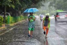 Photo of छत्तीसगढ़ में मानसून ने पकड़ी रफ्तार, अगले 5 दिन झमाझम बारिश के आसार, इन जिलों के लिए अलर्ट जारी