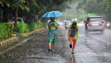 Photo of छत्तीसगढ़ में मानसून ने पकड़ी रफ्तार, अगले 5 दिन झमाझम बारिश के आसार, इन जिलों के लिए अलर्ट जारी